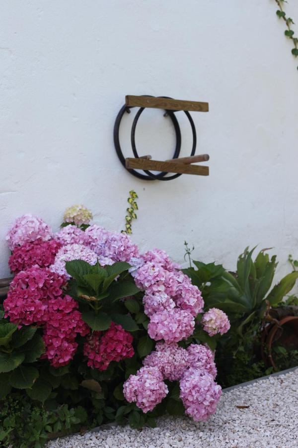 Ribeira Dos Marinheiros Azul Apartment Sintra Luaran gambar